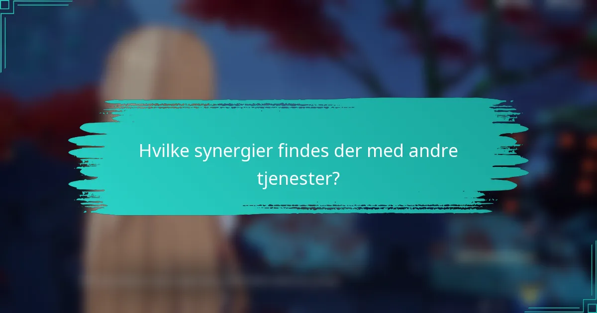 Hvilke synergier findes der med andre tjenester?